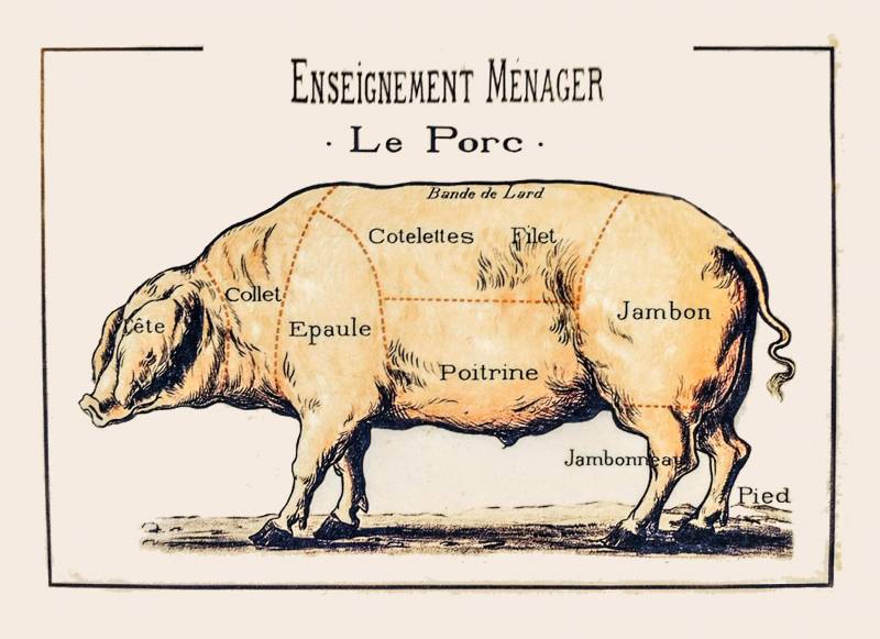 le cochon